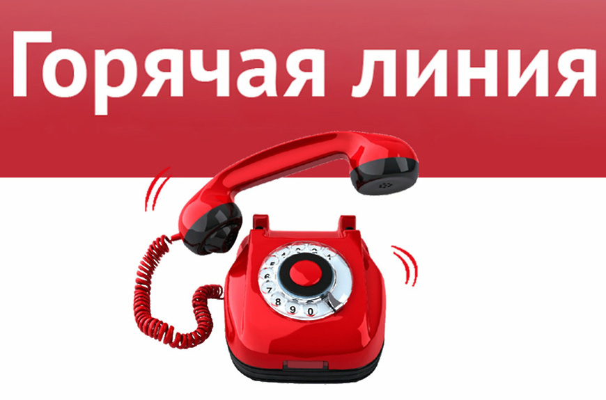 В случае невыплаты заработной платы можно обратиться на «горячую линию»