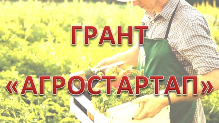 Прием документов на предоставление гранта «Агростартап»