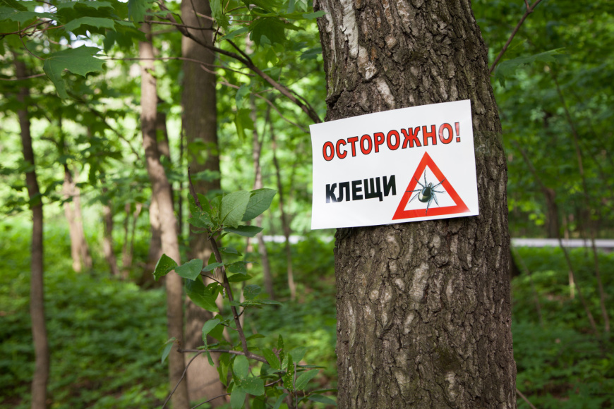 О противодействии распространению инфекций, передающихся с укусом клещей