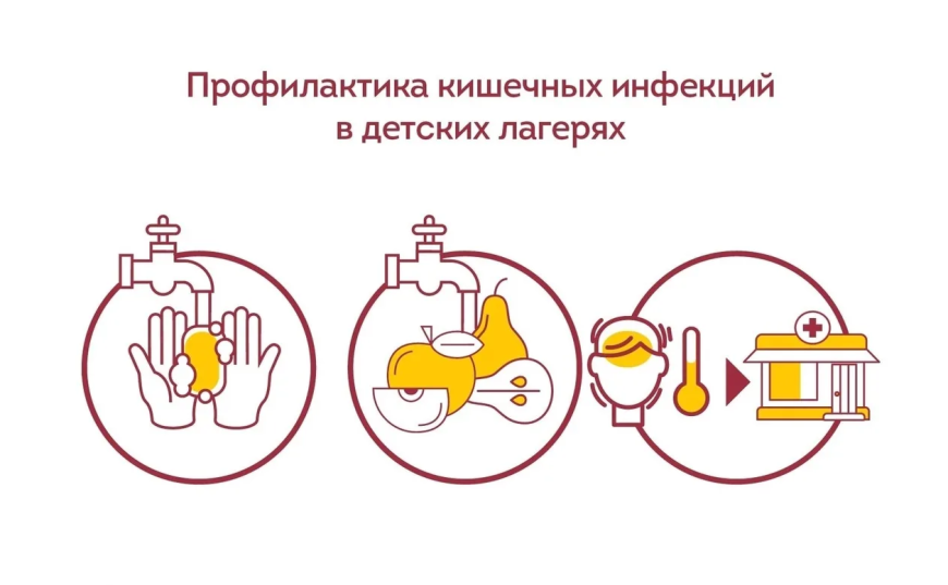 Профилактика кишечных инфекций в детских летних оздоровительных учреждениях