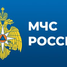 Электробезопасность в быту: как не превратить розетку в источник опасности