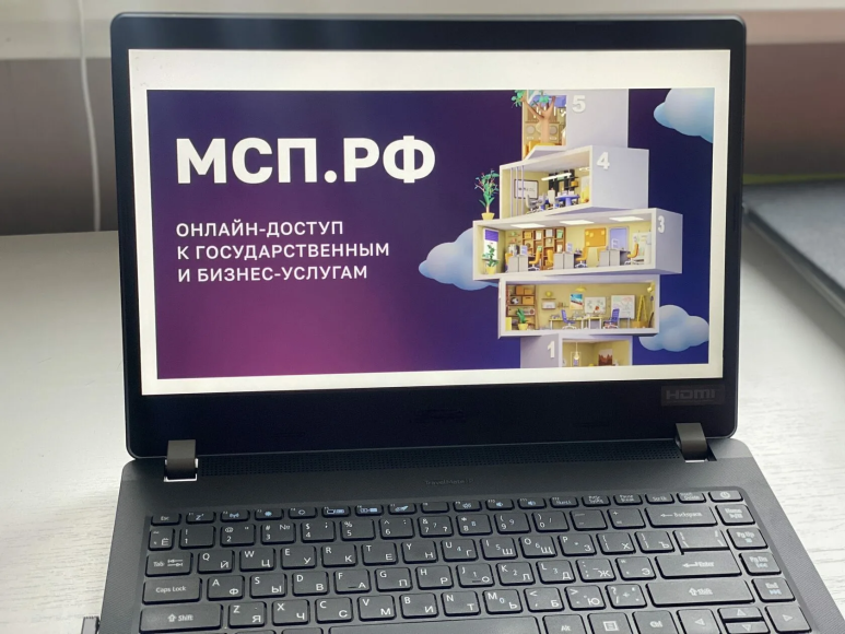 Цифровая платформа МСП.РФ – государственная поддержка бизнеса