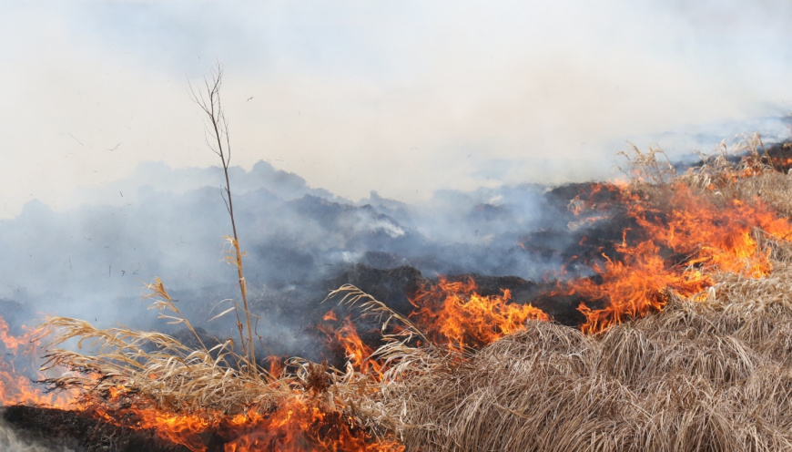 МЧС Крыма: 8-10 августа высок риск пожароопасности