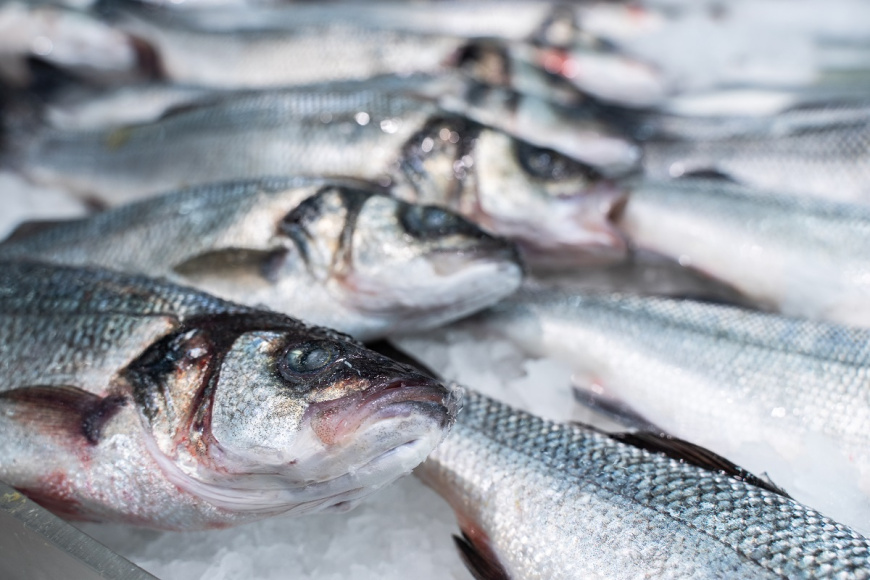 Роспотребнадзор контролирует качество и безопасность рыбы и морепродуктов 